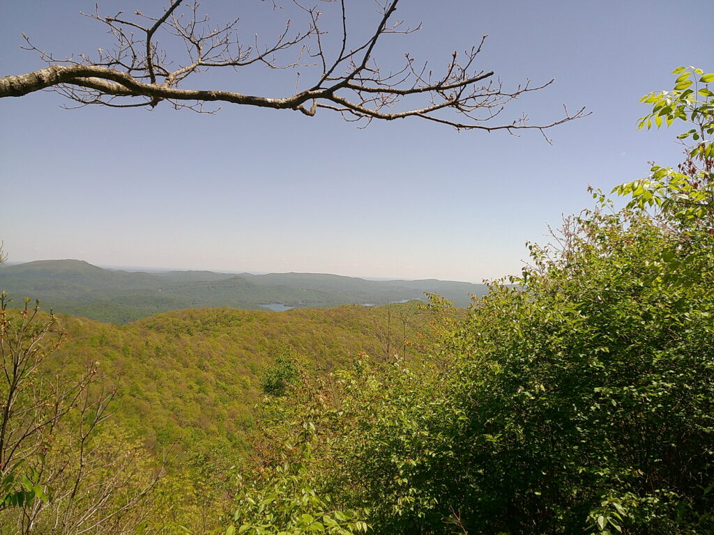 Georgia (almost) off my mind