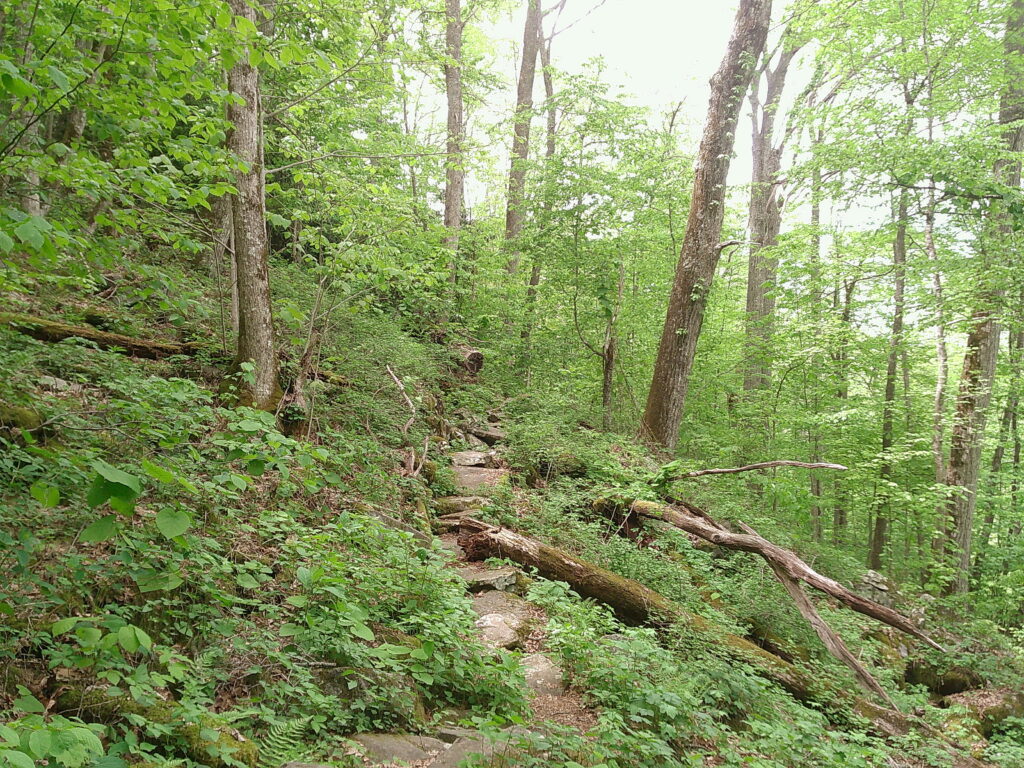 Up and down and up and down