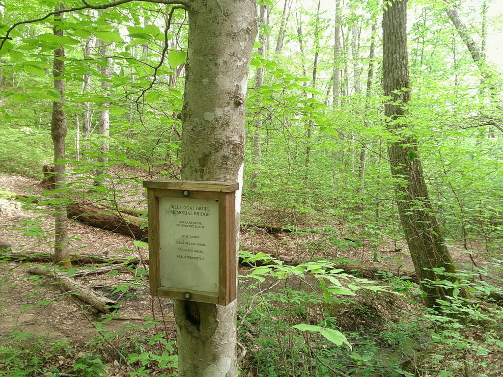 Great Smoky Mtn’s!