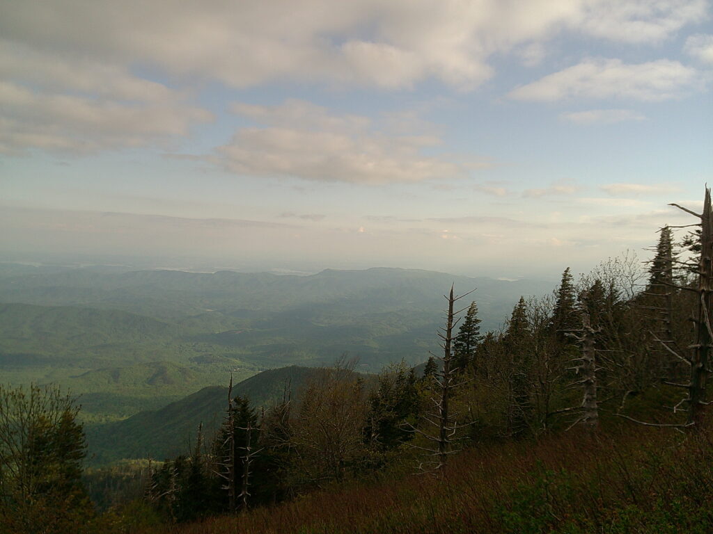 Goodbye Smokies :-(