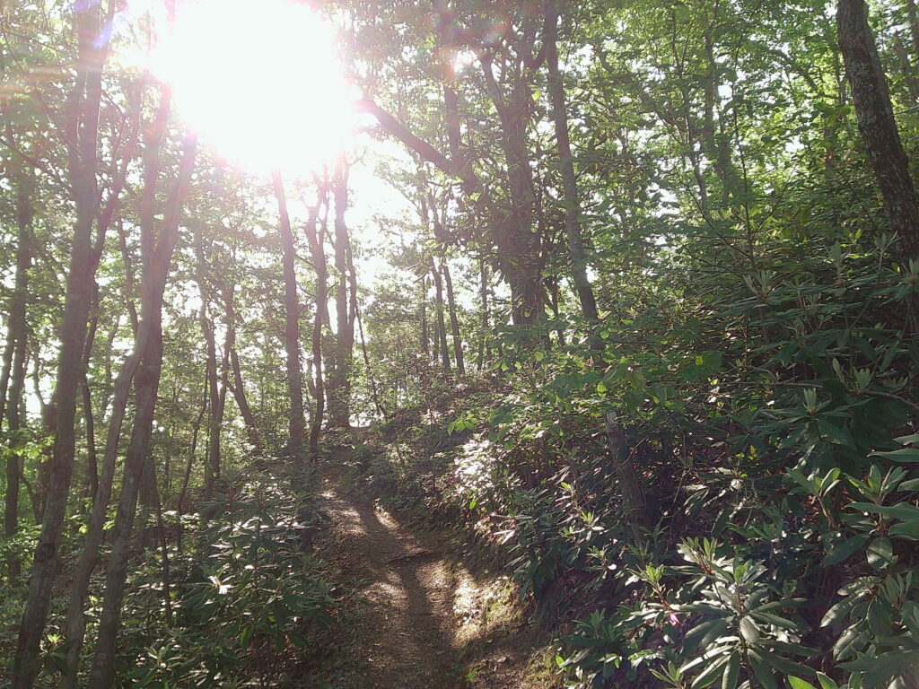 Double Trail Magic!