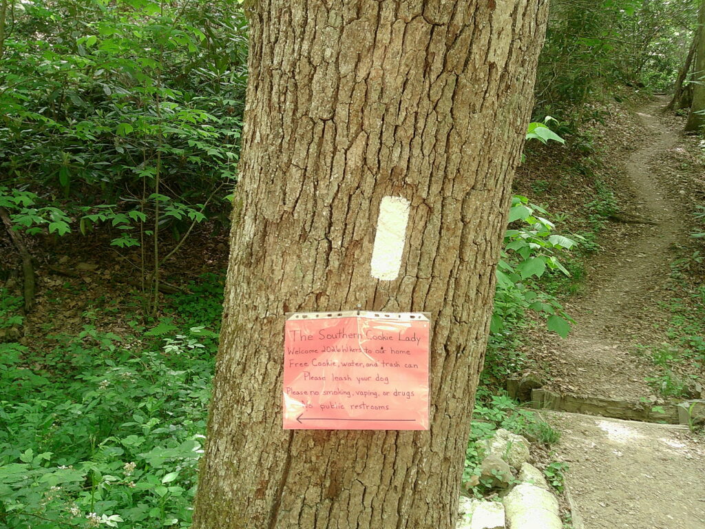 Double Trail Magic!