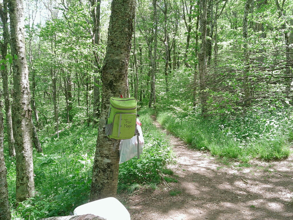 If a tree falls…?