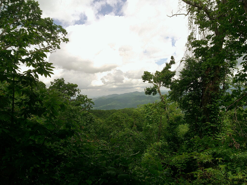 Virginia is for lovers