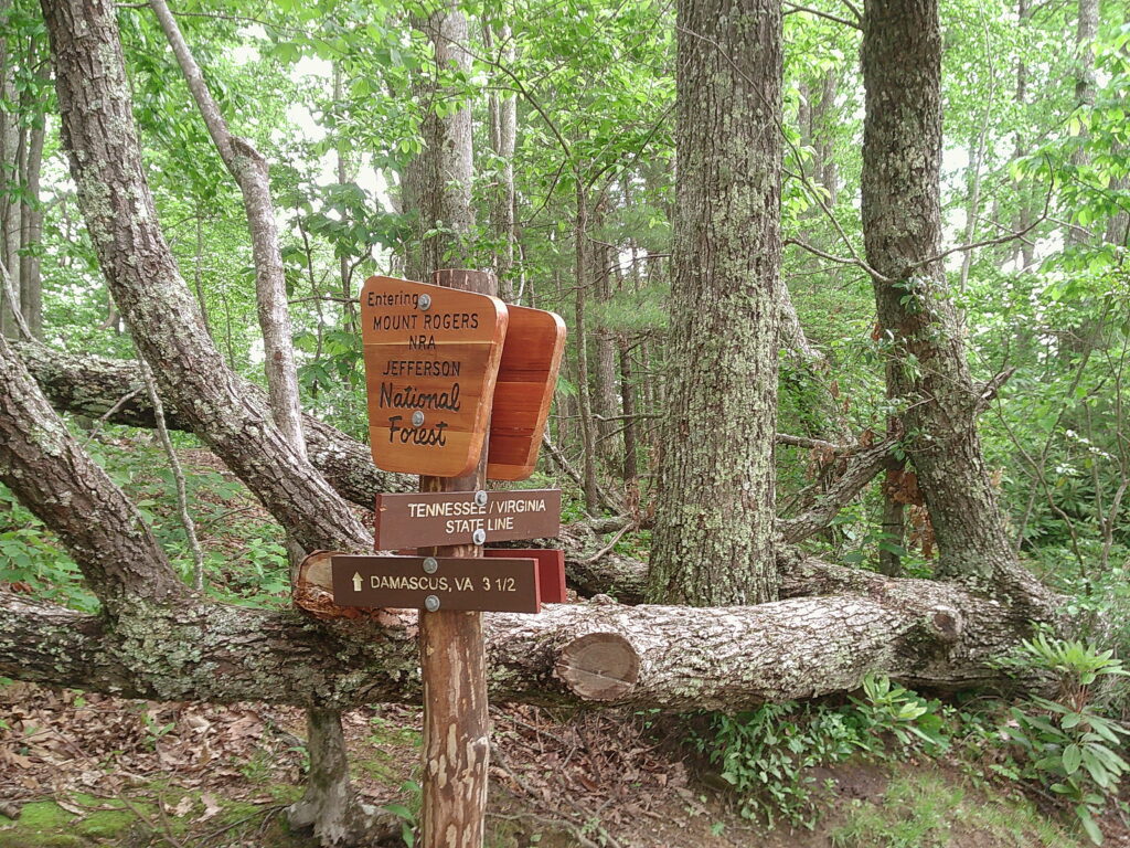 Virginia is for lovers