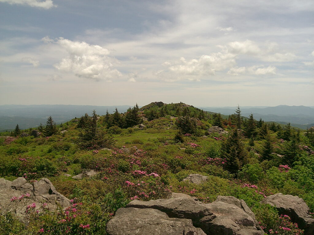 I [did] walk 500 miles…