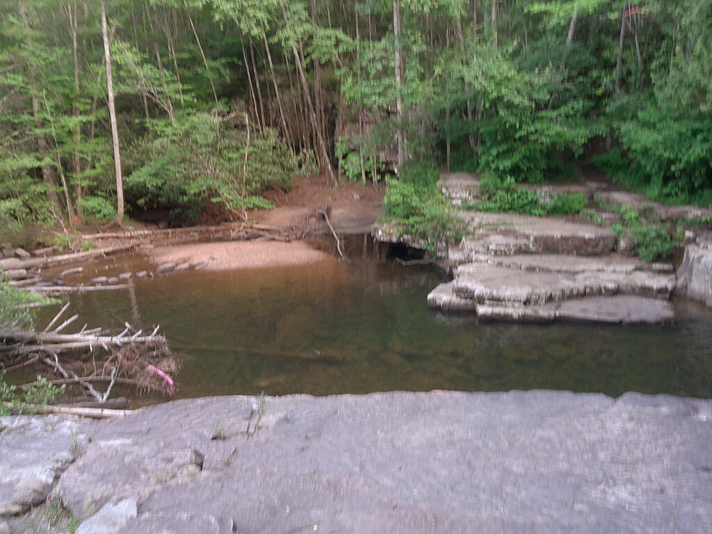 Nightswimming!! (Good R.E.M. song)