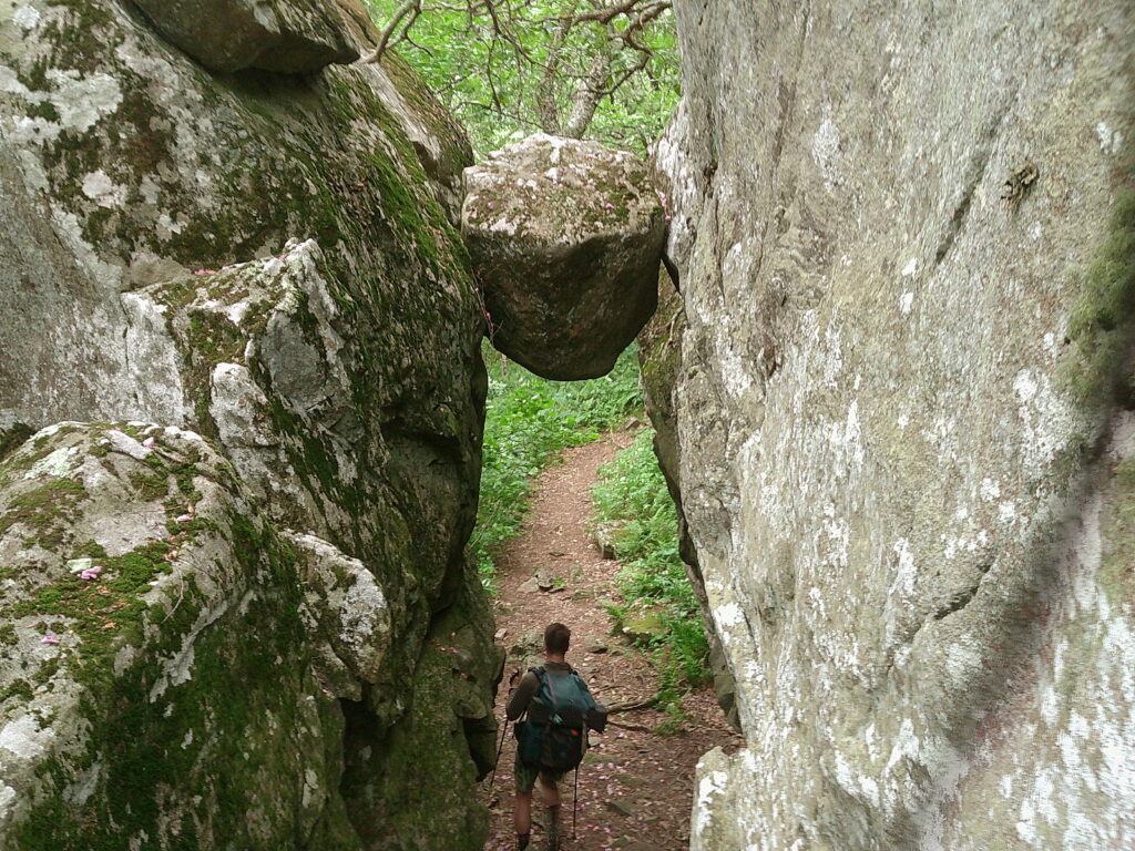 Trail Running!