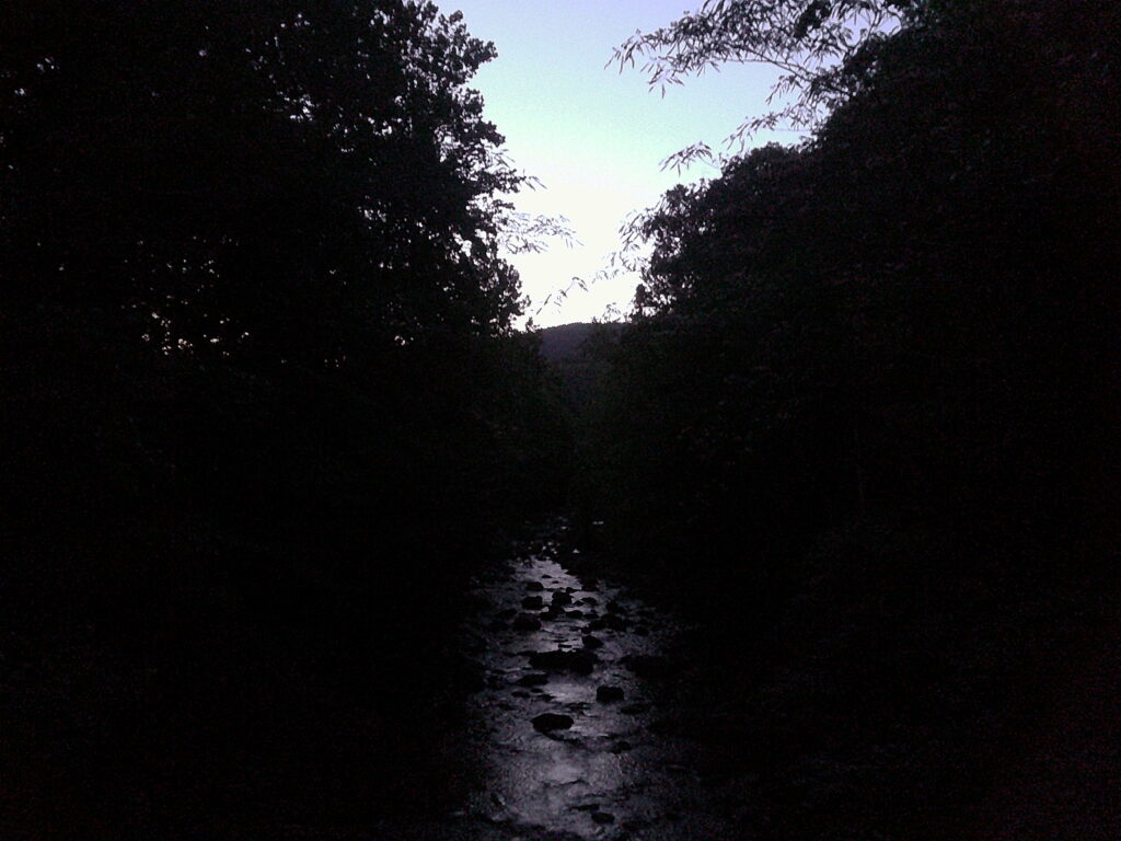 Night Hiking Foray