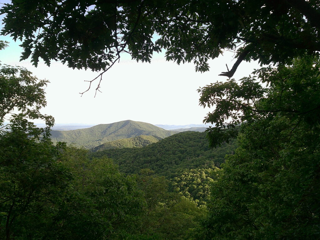 Night Hiking Foray