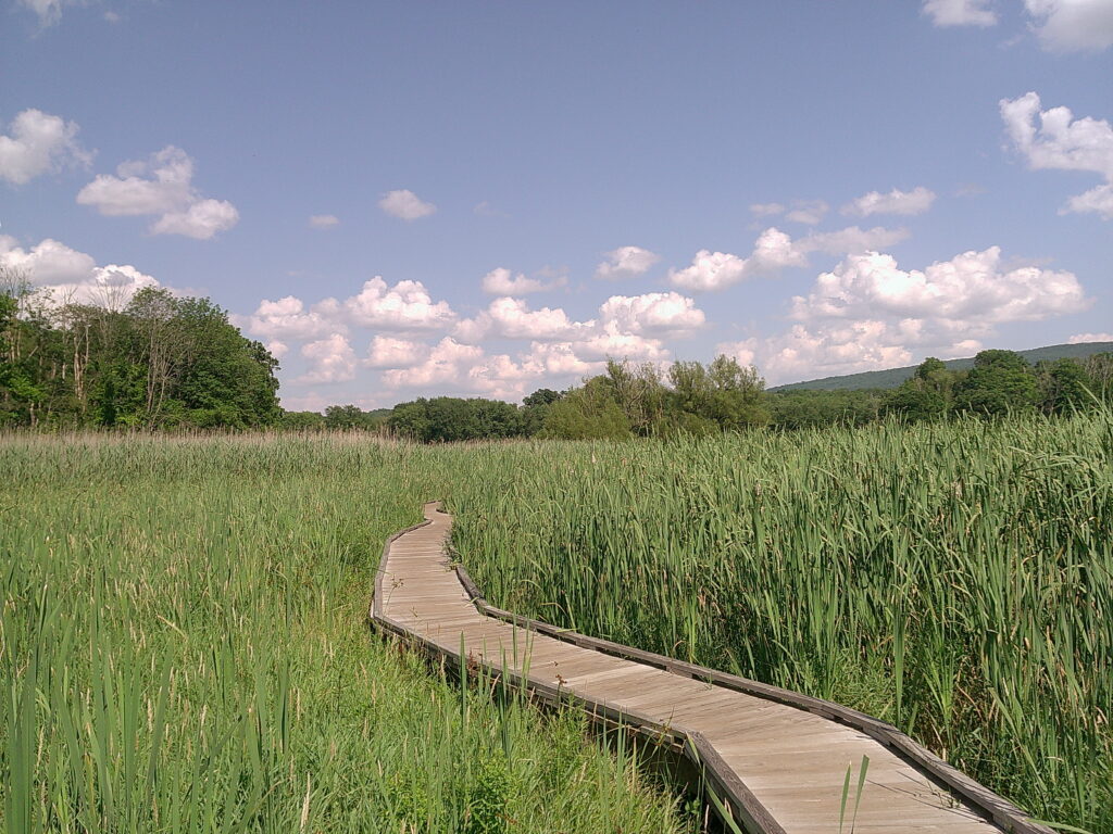 This dang trail!