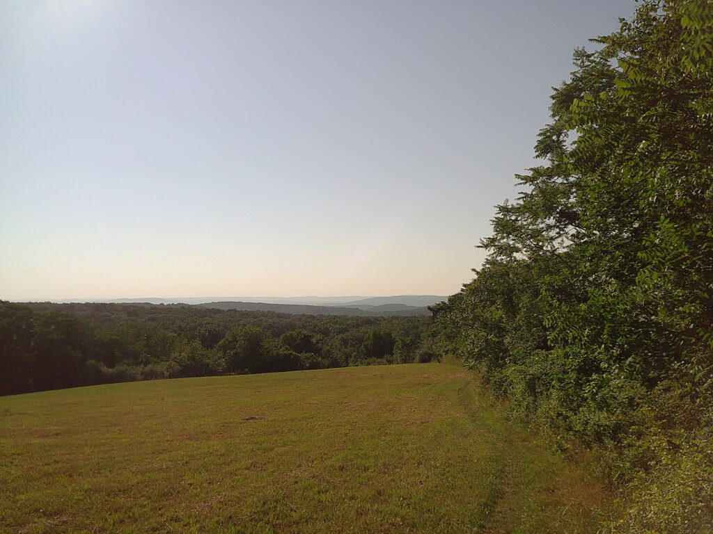 This dang trail!
