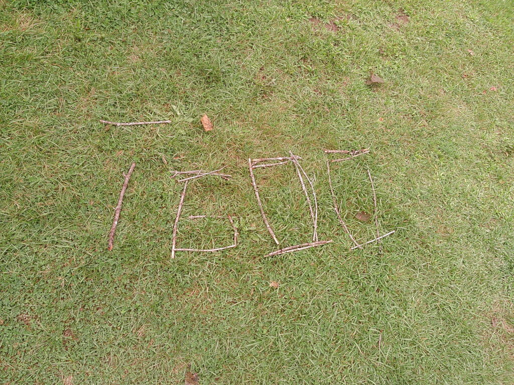 Vermud Indeed!