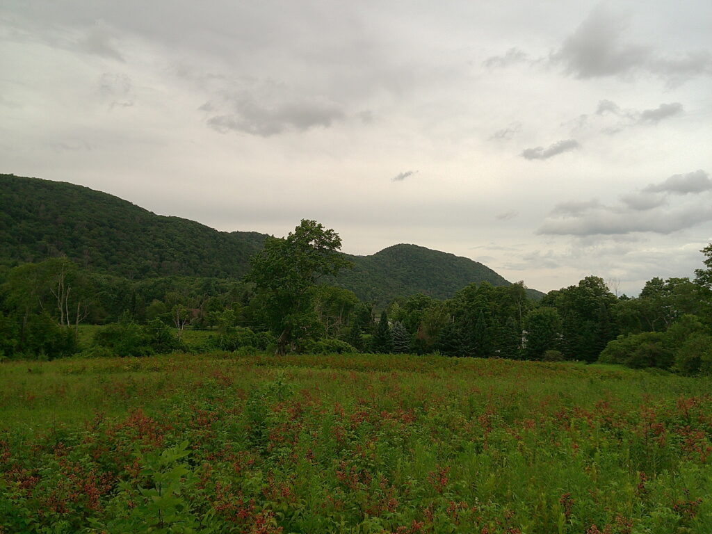 Greylock!