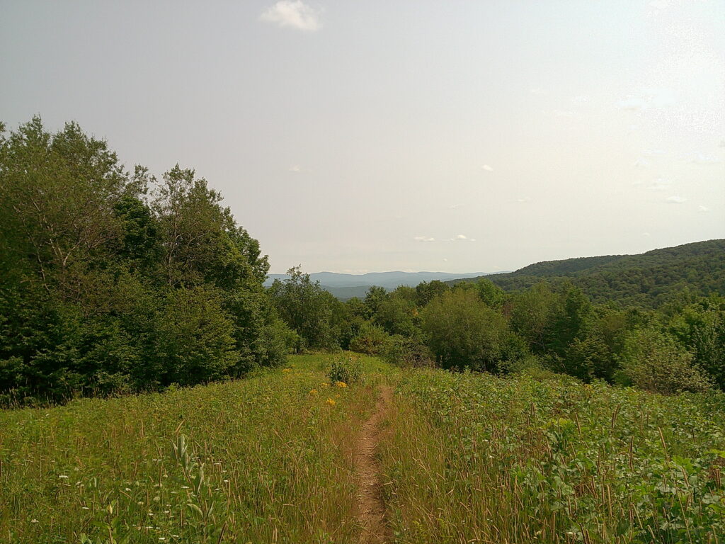 Vermont Who?