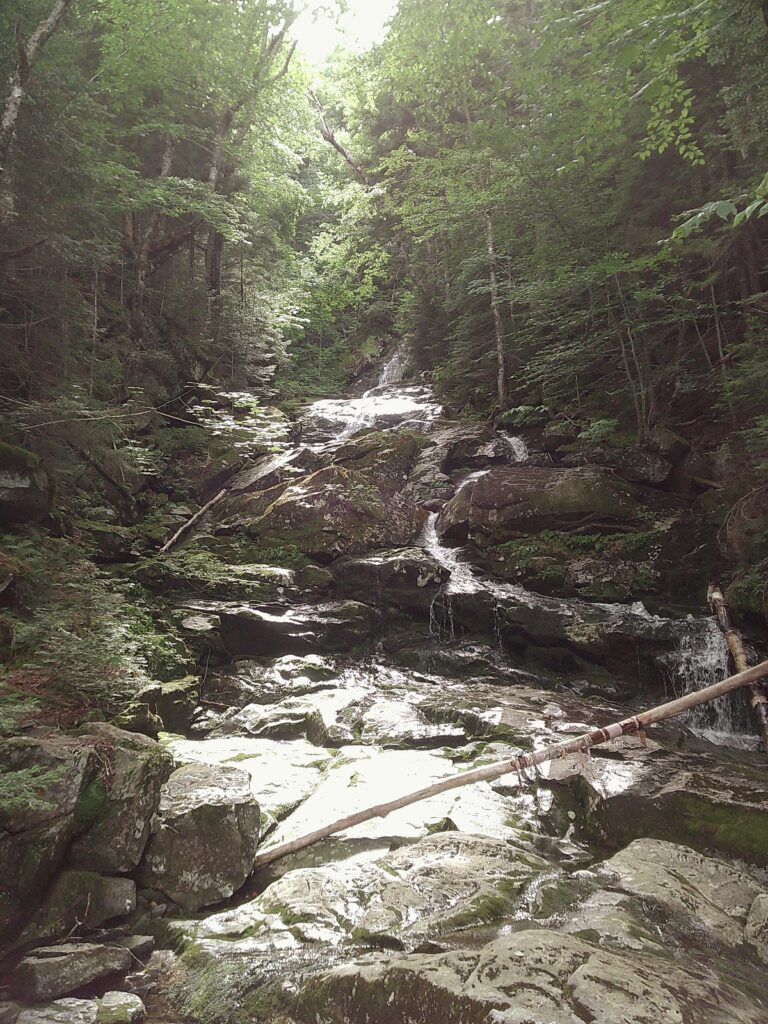 Mt Moosilauke Mom!