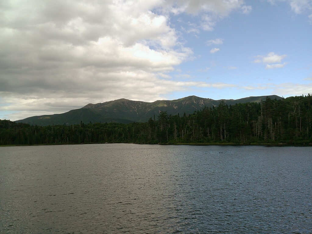 Liberty Springs!
