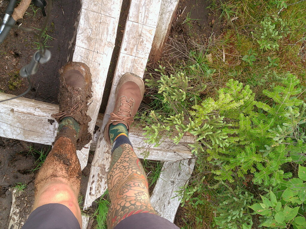 Maine Terrain