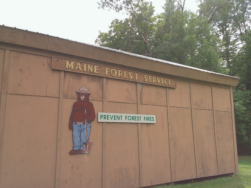 Maine Roots (&) Rock(s)