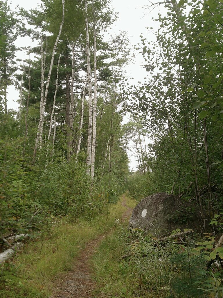 Katahdin Eve
